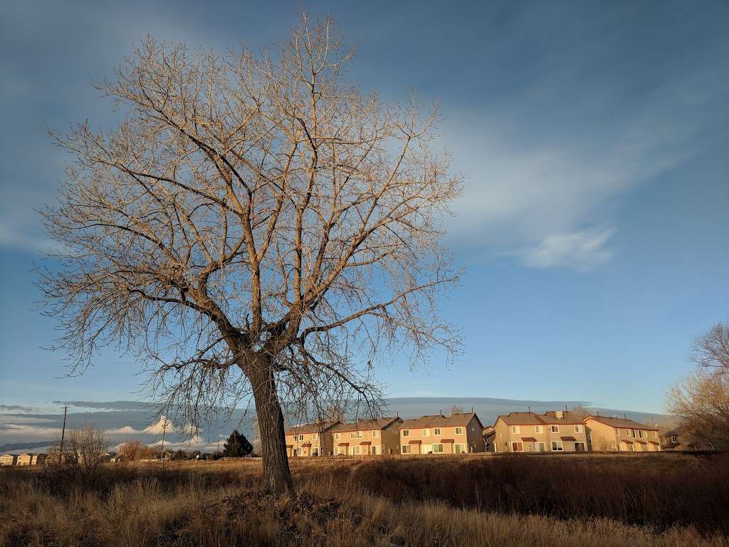 Grandview Montgomery Park | 314-324 Montgomery Dr, Erie, CO 80516, USA