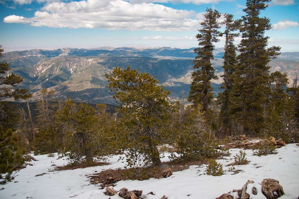 San Bernardino Peak Trail 1W07 | San Bernardino Peak Divide Trail, Angelus Oaks, CA 92305, USA | Phone: (909) 382-2882