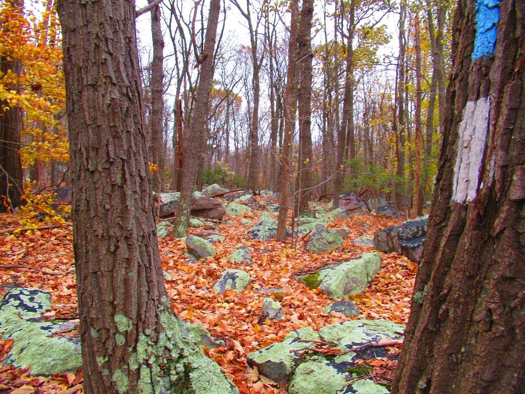 Sugarloaf Mountain West View Parking Lot | Sugar Loaf Mt Dr, Dickerson, MD 20842, USA