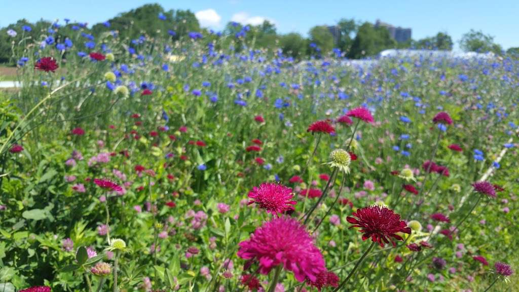 Green Meadows Petting Farm | 73-50 Little Neck Pkwy, Queens, NY 11004, USA | Phone: (718) 470-0224