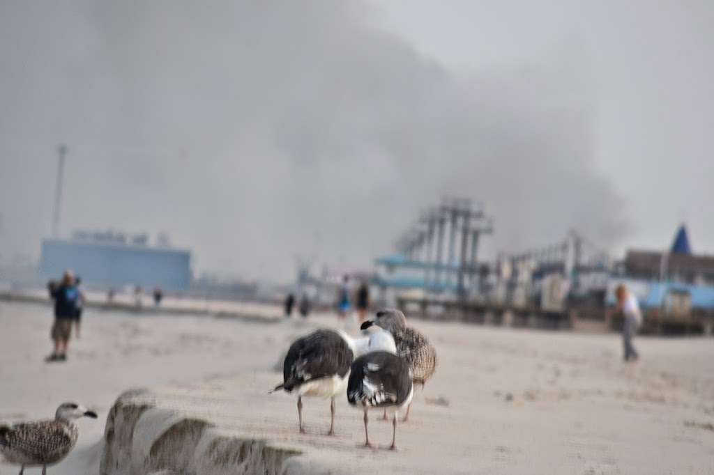 Seaside Heights Boardwalk | Boardwalk, Seaside Heights, NJ 08751, USA