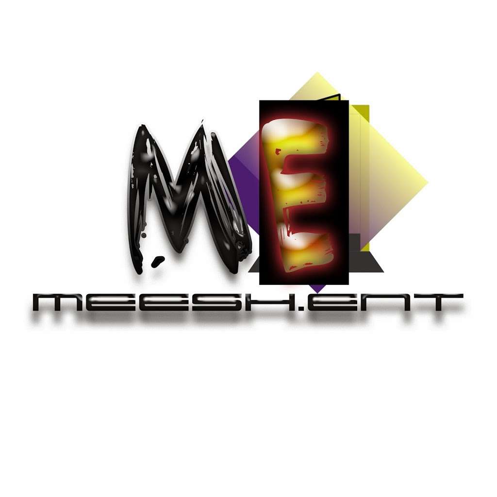 MEESH ENTERPRISES | 1136 S DELANO COURT W, SUITE B201, Chicago, IL 60605, USA | Phone: (312) 236-3374