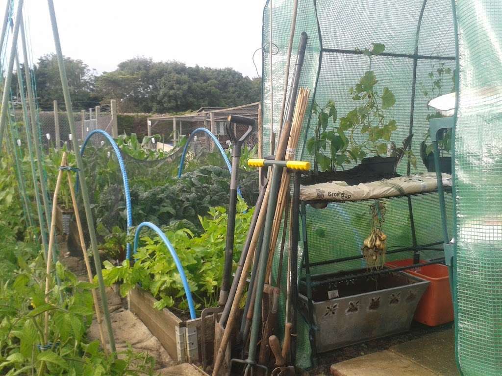 Ditton Allotments | Ragstone Ct, Ditton, Aylesford ME20 6AJ, UK