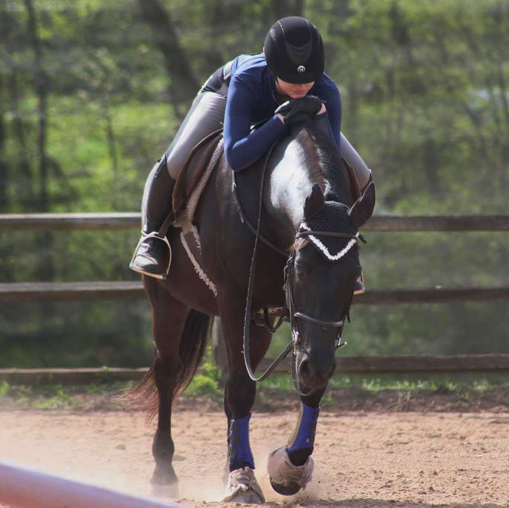 Lord Stirling Stable | 256 S Maple Ave, Basking Ridge, NJ 07920, USA | Phone: (908) 766-5955 Lord Stirling Stable | 256 S Maple Ave, Basking Ridge, NJ 07920, USA | Phone: (908) 766-5955