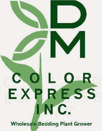 DM Color Express Inc | 5712 N River Rd, Oceanside, CA 92057, USA | Phone: (760) 732-3501