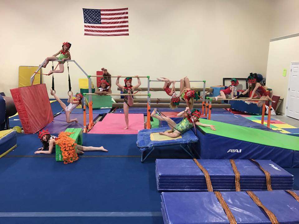 Rebound Gymnastics Elite | 2 Timber Ln #205, Marlboro Township, NJ 07746, USA | Phone: (732) 780-3223