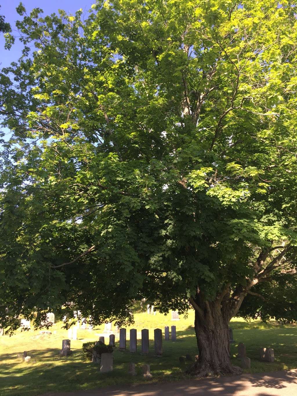 Walnut Cemetery | 1830 Kenoza St, Haverhill, MA 01830, USA | Phone: (978) 372-7670