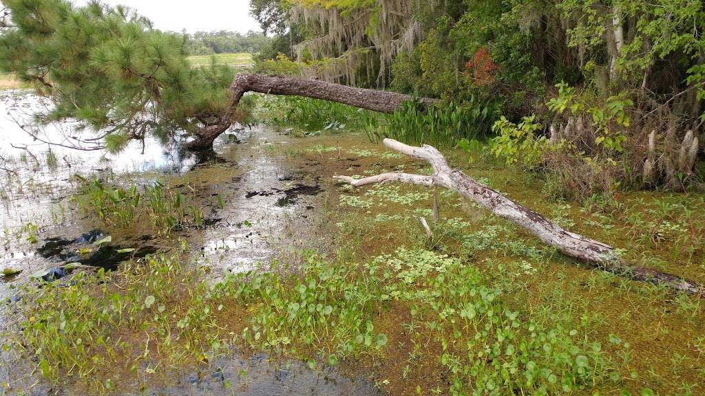 Lake Eaton Trail Head | Silver Springs, FL 34488, USA