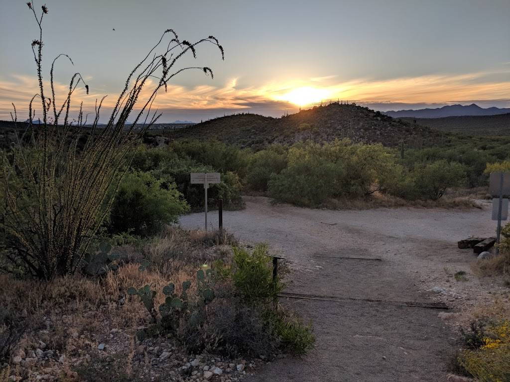Romero Canyon Trail | 11570 N Oracle Rd, Tucson, AZ 85737, USA | Phone: (520) 628-5798
