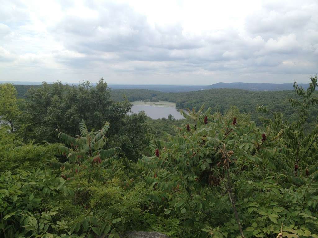 Ramapo State Forest | Skyline Dr, Oakland, NJ 07436, USA | Phone: (973) 962-7031