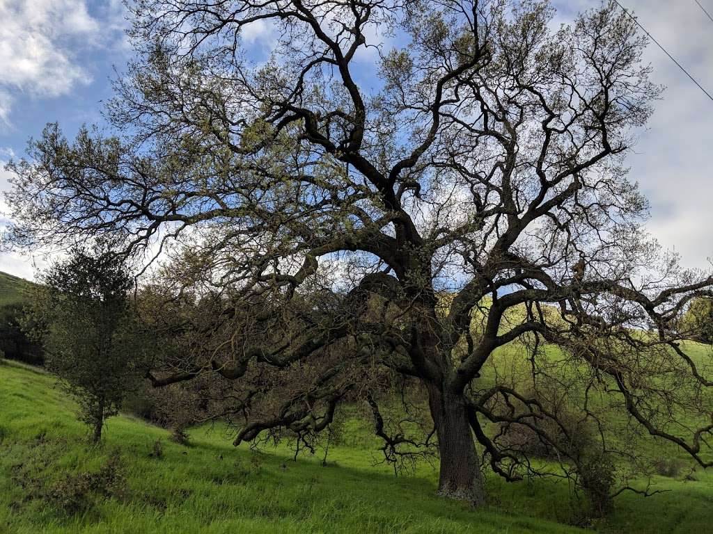 Santa Teresa County Park | Bernal Rd, San Jose, CA 95120, USA | Phone: (408) 225-0225