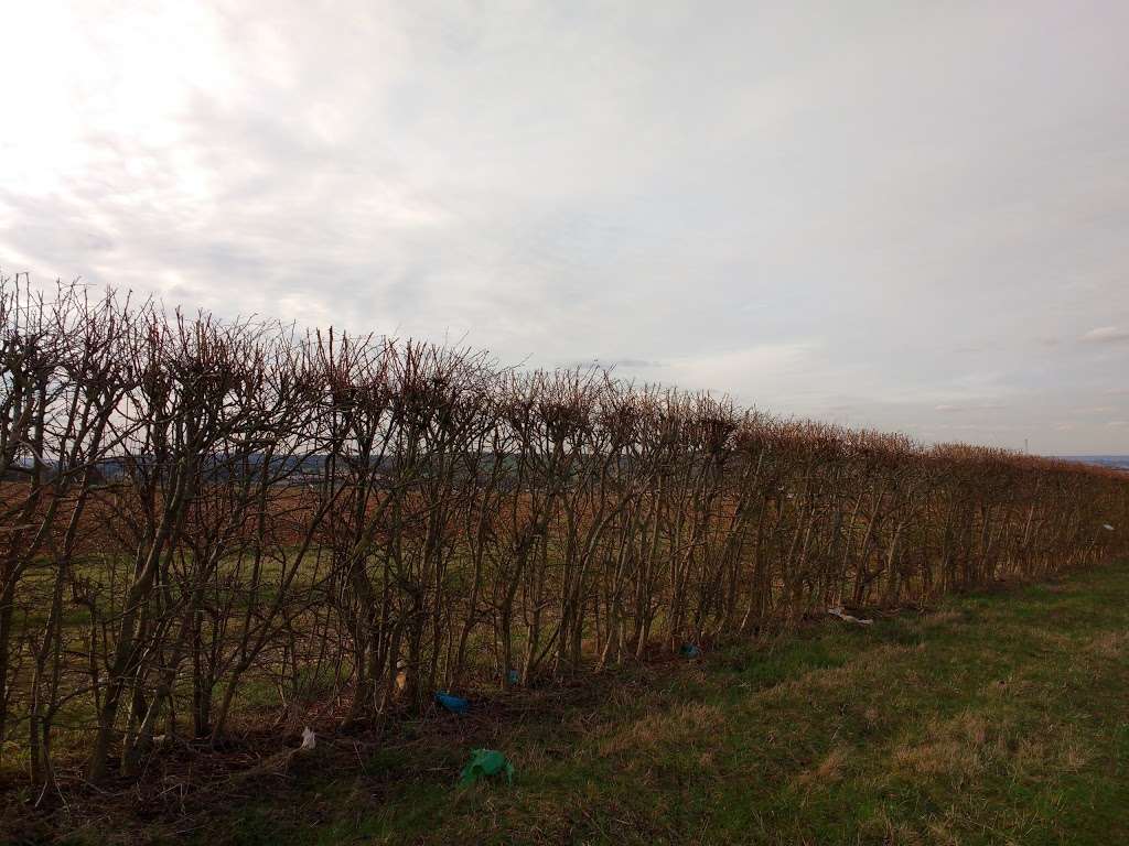 Bottle Bank Recycling | New Barn Rd, Southfleet, Gravesend DA13 9PP, UK