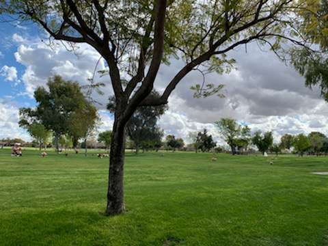 Paradise Memorial Crematory | 9300 E Shea Blvd BLDG C, Scottsdale, AZ 85260 | Phone: (480) 451-4255