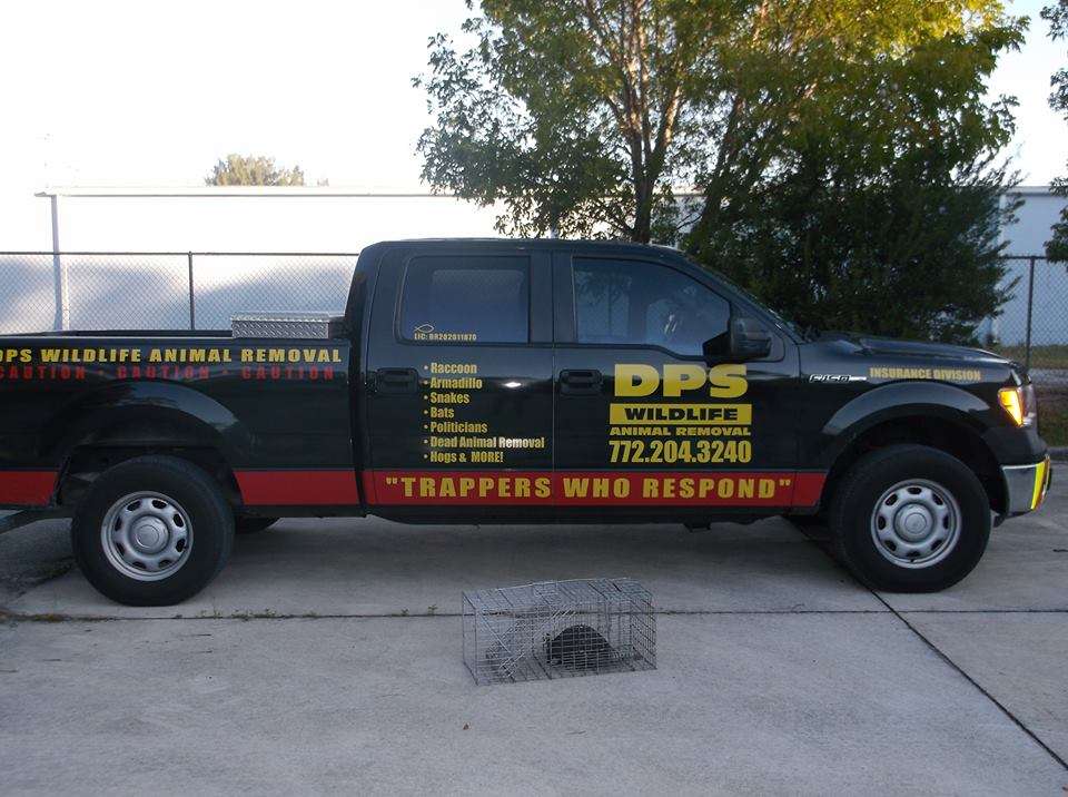 DPS WILDLIFE ANIMAL REMOVAL NPB | 13925 Willow Cay Dr, North Palm Beach, FL 33408, USA | Phone: (772) 204-3240