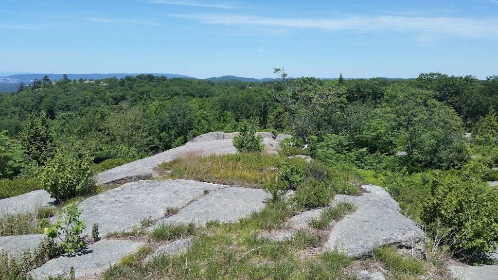 Bald Rocks Shelter | Southfields, NY 10975, USA