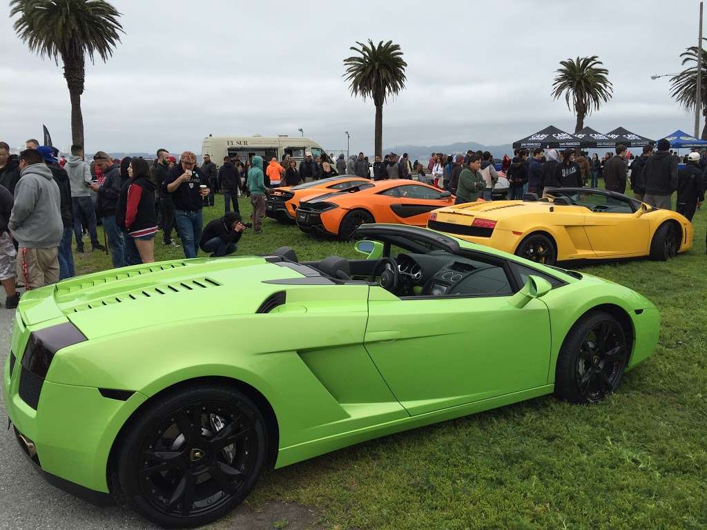 Great Lawn | Avenue of the Palms, San Francisco, CA 94130, USA | Phone: (415) 274-0688