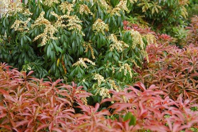 Hammetts Landscaping & Garden Center | 425 S Main St, Forked River, NJ 08731, USA | Phone: (609) 971-0453