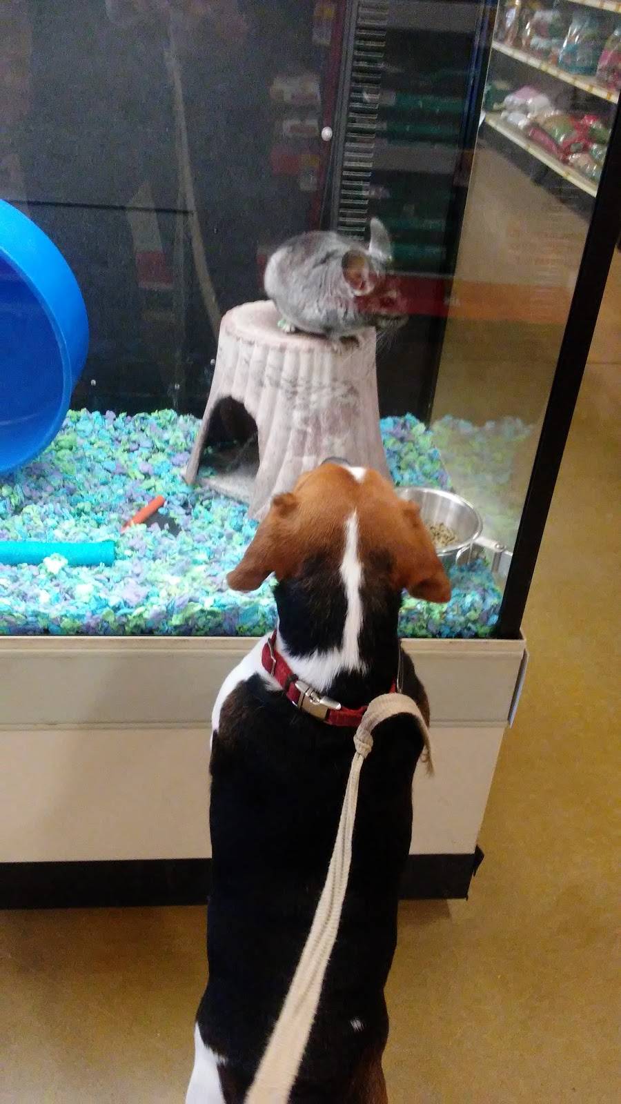 PetSmart | 2641 Lawndale Dr, Greensboro, NC 27408 | Phone: (336) 545-6225