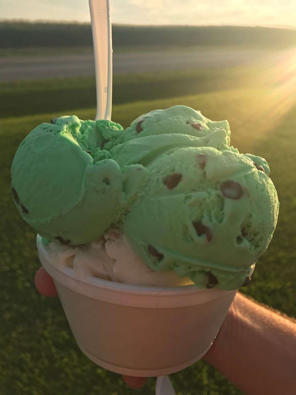 Vanderwende Ice Cream | 8374 Hickman Rd, Greenwood, DE 19950, USA | Phone: (302) 349-5160