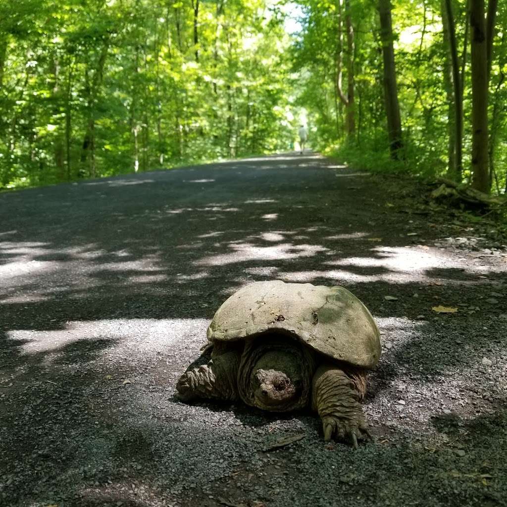 Pennypack Trust Parking | Creek Road Trail, Huntingdon Valley, PA 19006, USA | Phone: (215) 657-0830