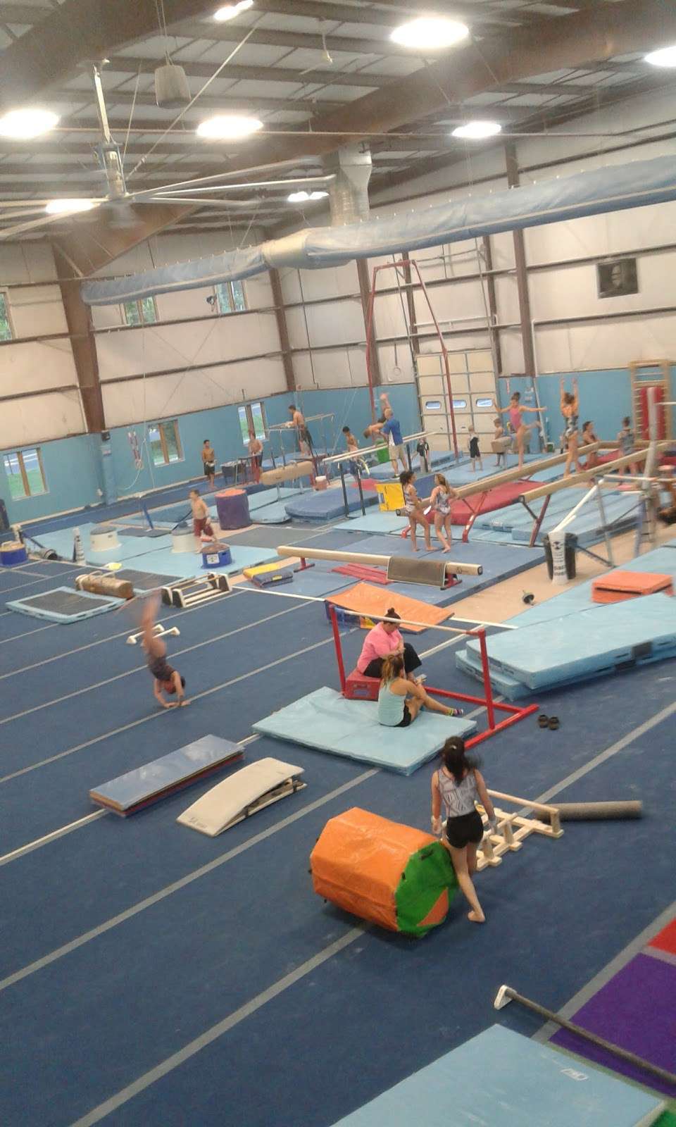 Premier Gymnastics and Cheer Academy | 202 Commercial Ct, Morganville, NJ 07751, USA | Phone: (732) 970-7900