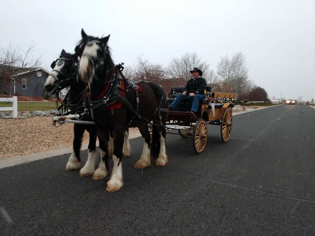 Mountain Shadow Carriages | 10175 CO-392, Windsor, CO 80550, USA | Phone: (303) 358-3198