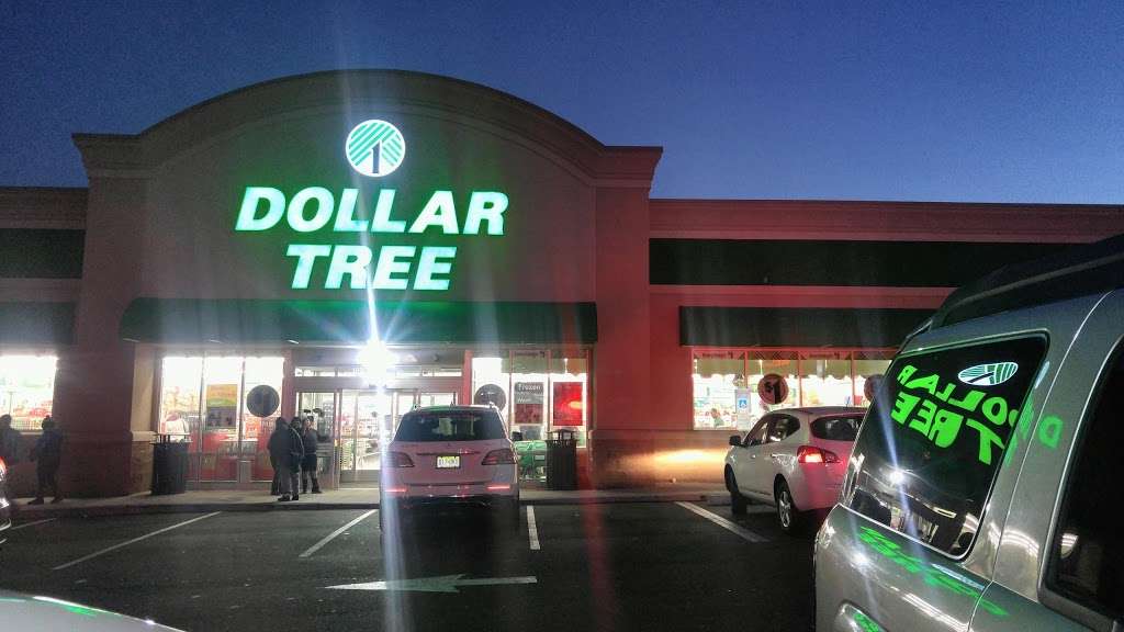 Dollar Tree | 189 Springfield Ave, Newark, NJ 07103, USA | Phone: (973) 368-1265