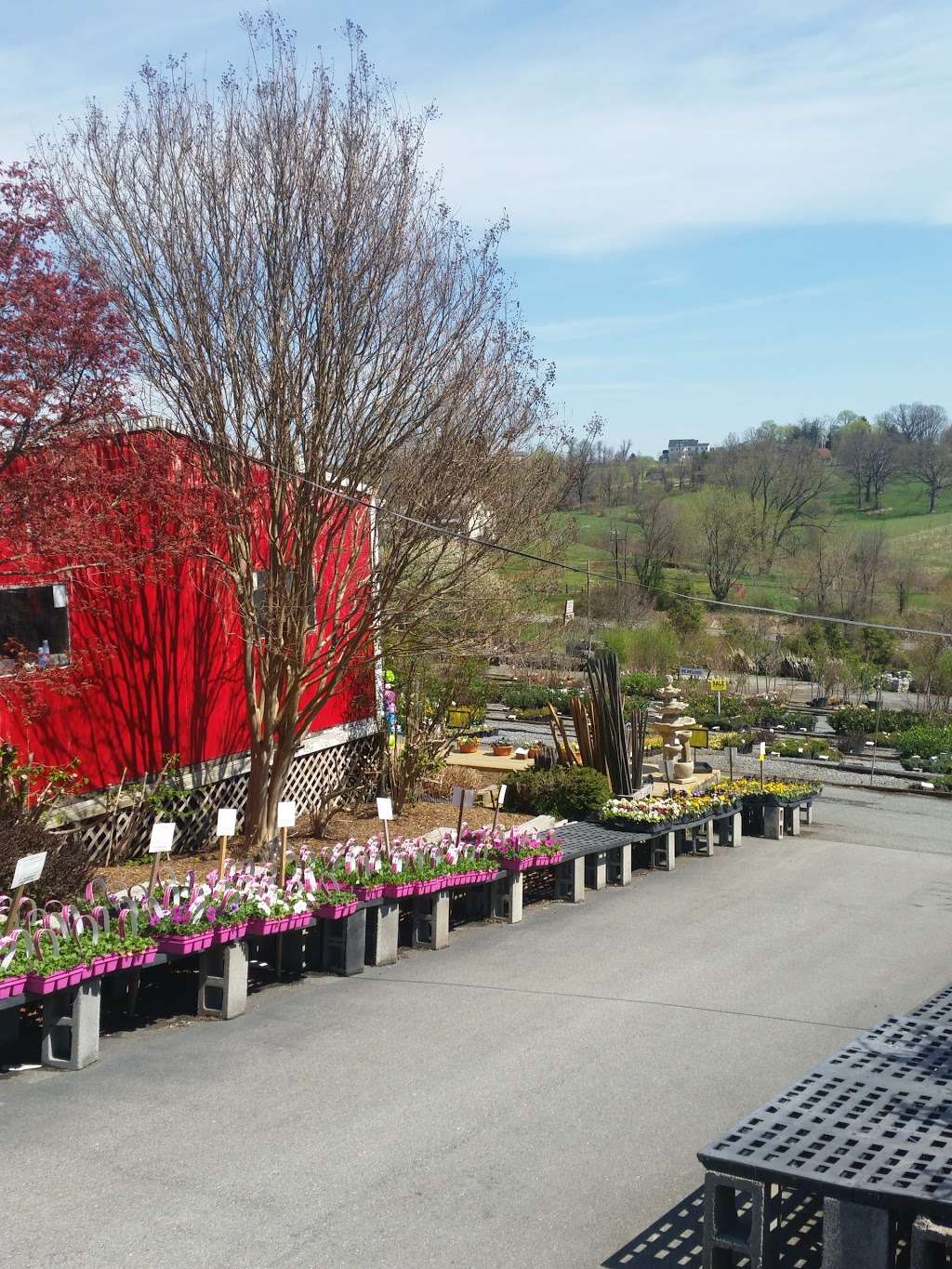 Meadows Farms Nurseries & Landscaping | 11406 Hawkes Rd, Clarksburg, MD 20871 | Phone: (301) 353-0098