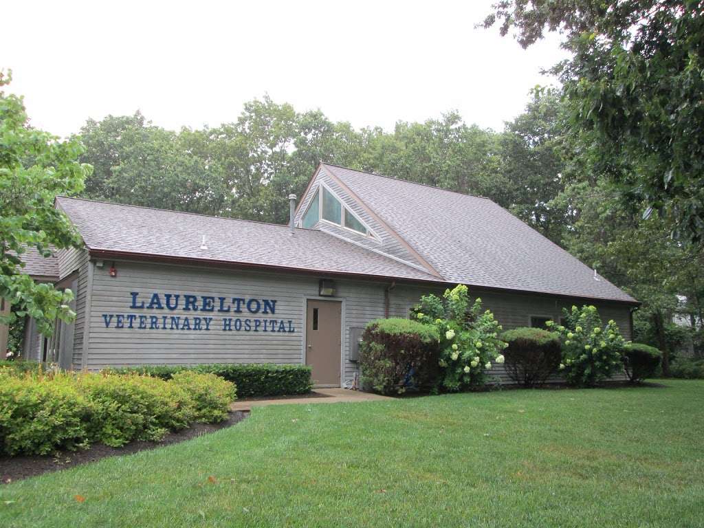 Laurelton Veterinary Hospital | 200 Pello Rd, Brick, NJ 08724, USA | Phone: (732) 840-5588