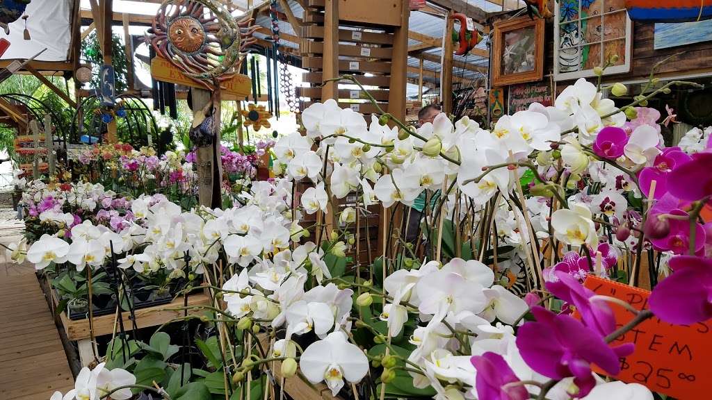 Johnny Mangos Garden Center | 2708 N Federal Hwy, Delray Beach, FL 33483, USA | Phone: (561) 276-4424