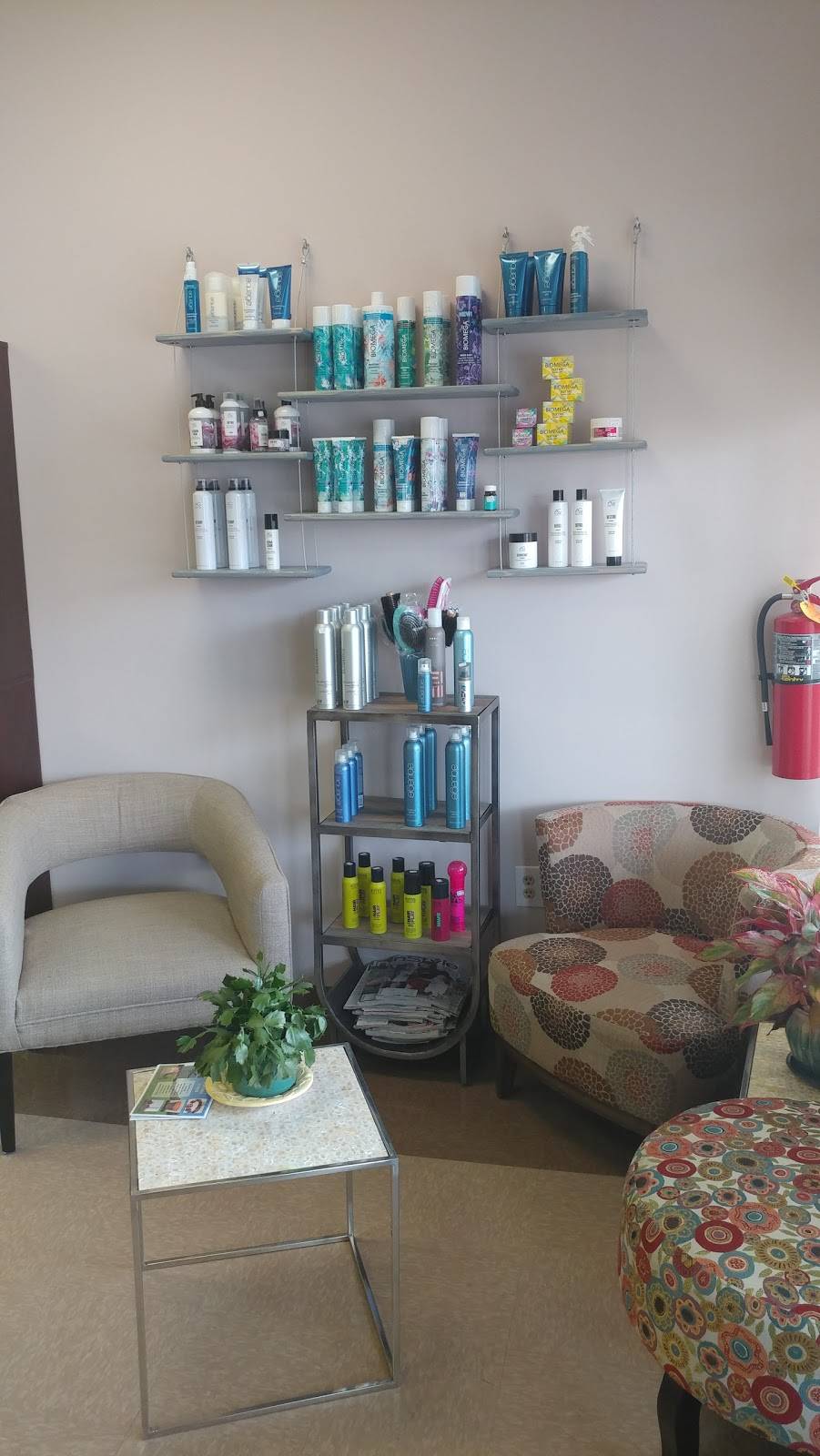 Shampoo Salon | 11312 US Hwy 15 501 N Suite 101, Chapel Hill, NC 27517, USA | Phone: (984) 234-3013