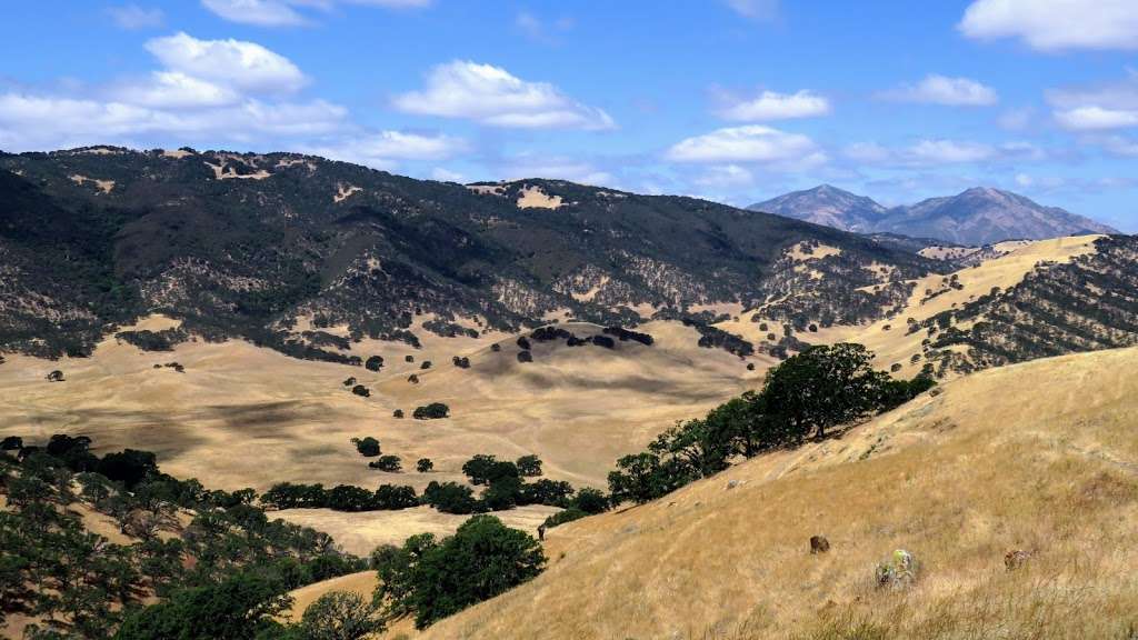 Round Valley Regional Preserve | 19450 Marsh Creek Rd, Brentwood, CA 94513, USA | Phone: (888) 327-2757