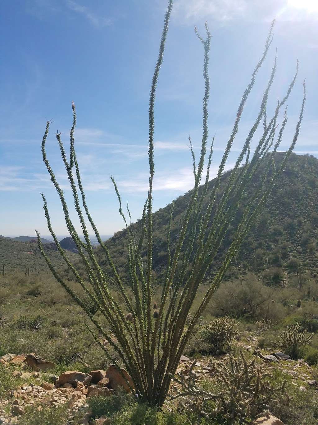 Gateway w/Aiden | Gateway Loop Trail, Scottsdale, AZ 85255, USA