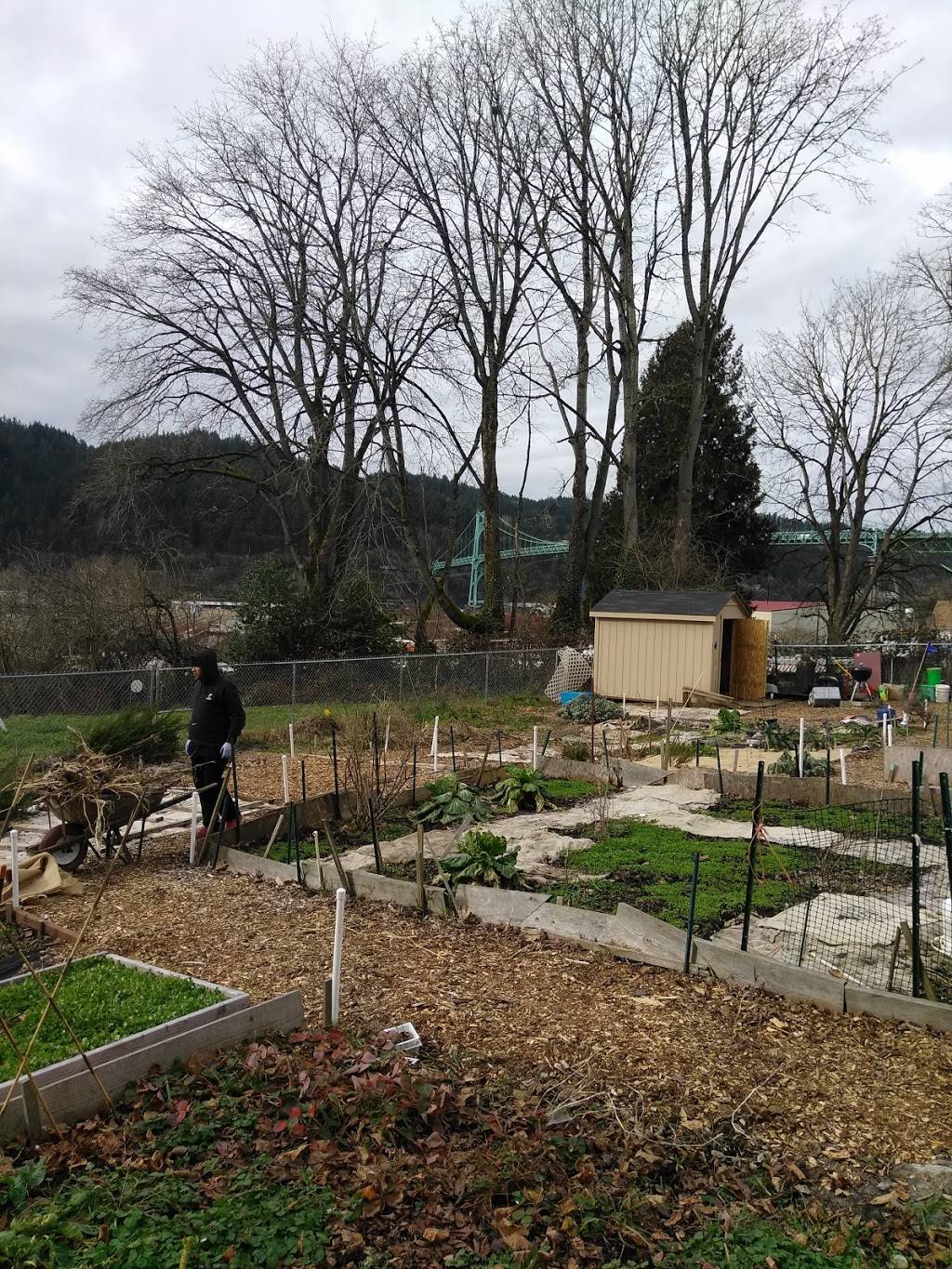 Johns Community Garden | N John Ave, Portland, OR 97203, USA | Phone: (503) 823-1612