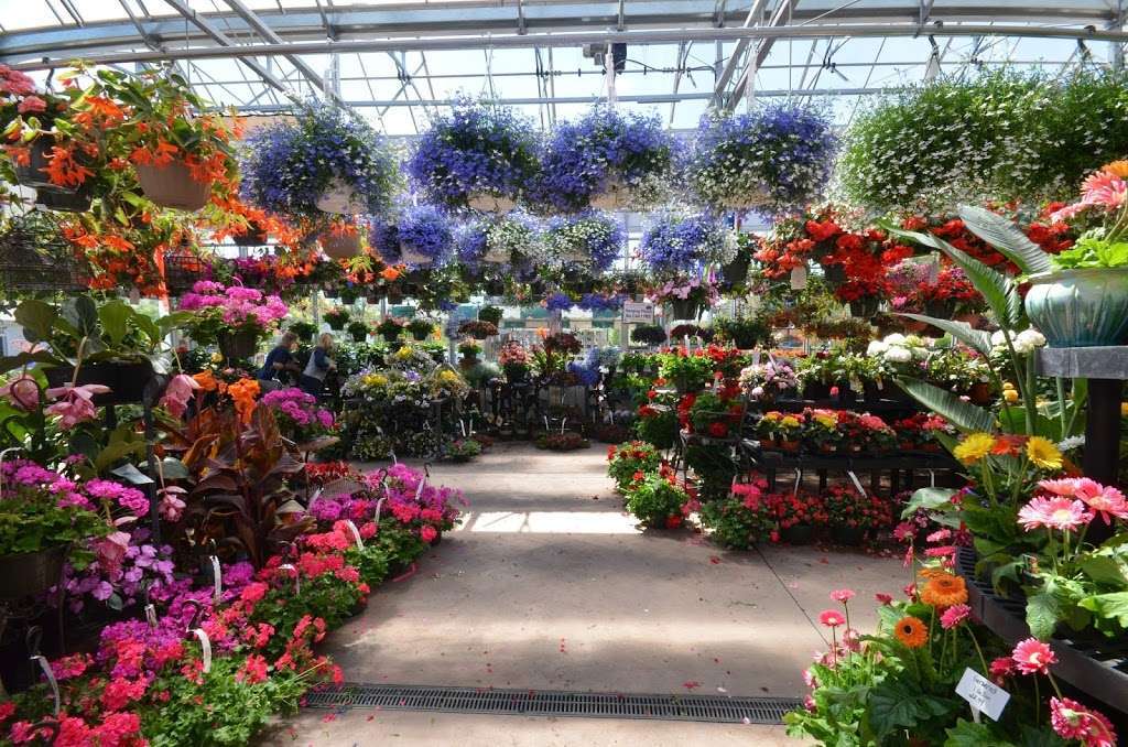 Seoanes Garden Center | 551 Bedford St, Abington, MA 02351, USA | Phone: (781) 878-1306