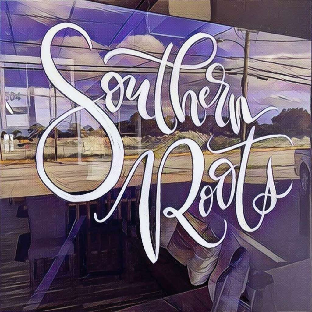 Southern Roots Hair Salon And Spa | 2504 S Hopkins Ave, Titusville, FL 32780, USA | Phone: (321) 362-5868