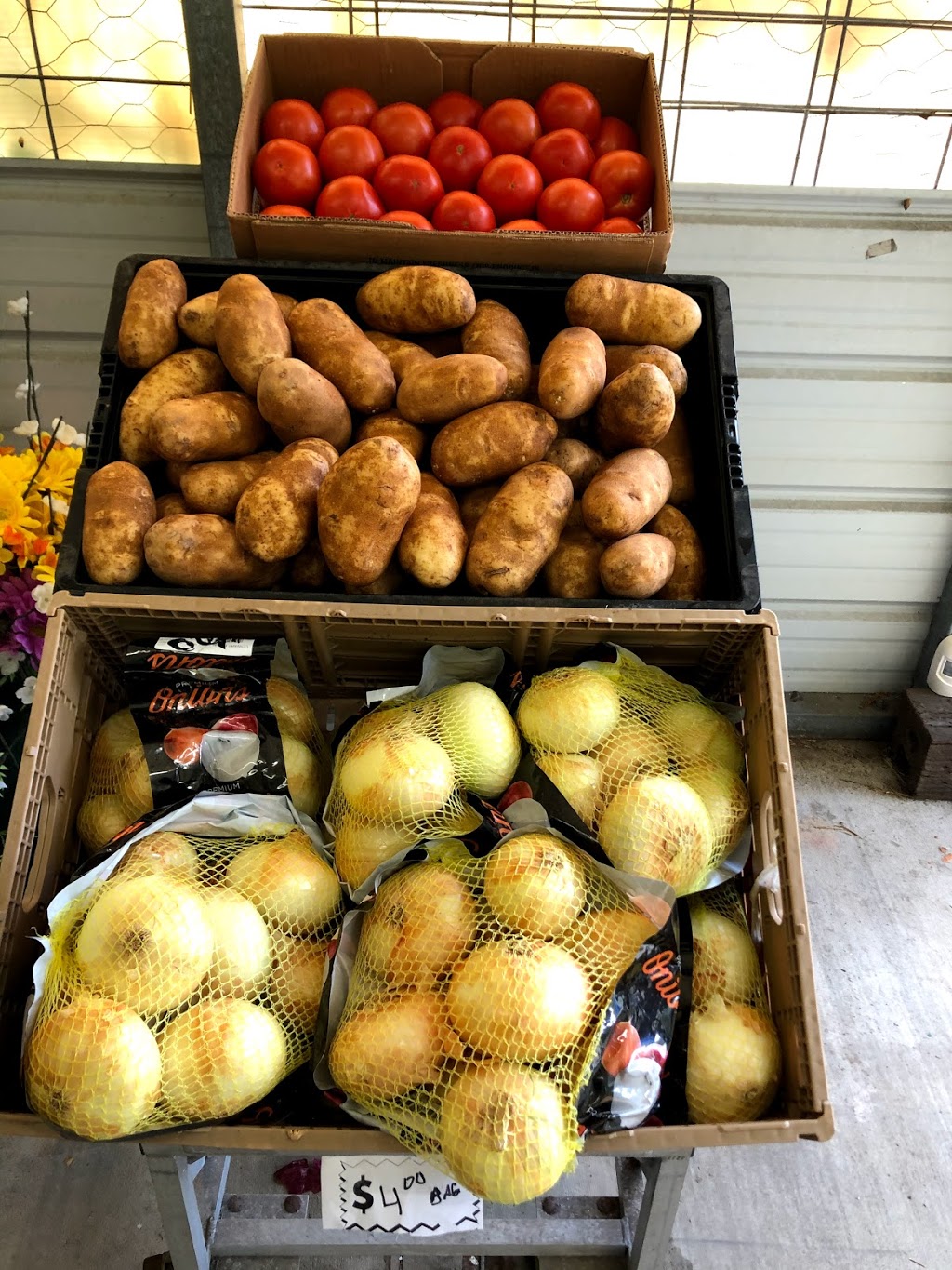 579 Produce Market | 6411 County Rd 579, Seffner, FL 33584 | Phone: (813) 833-3981