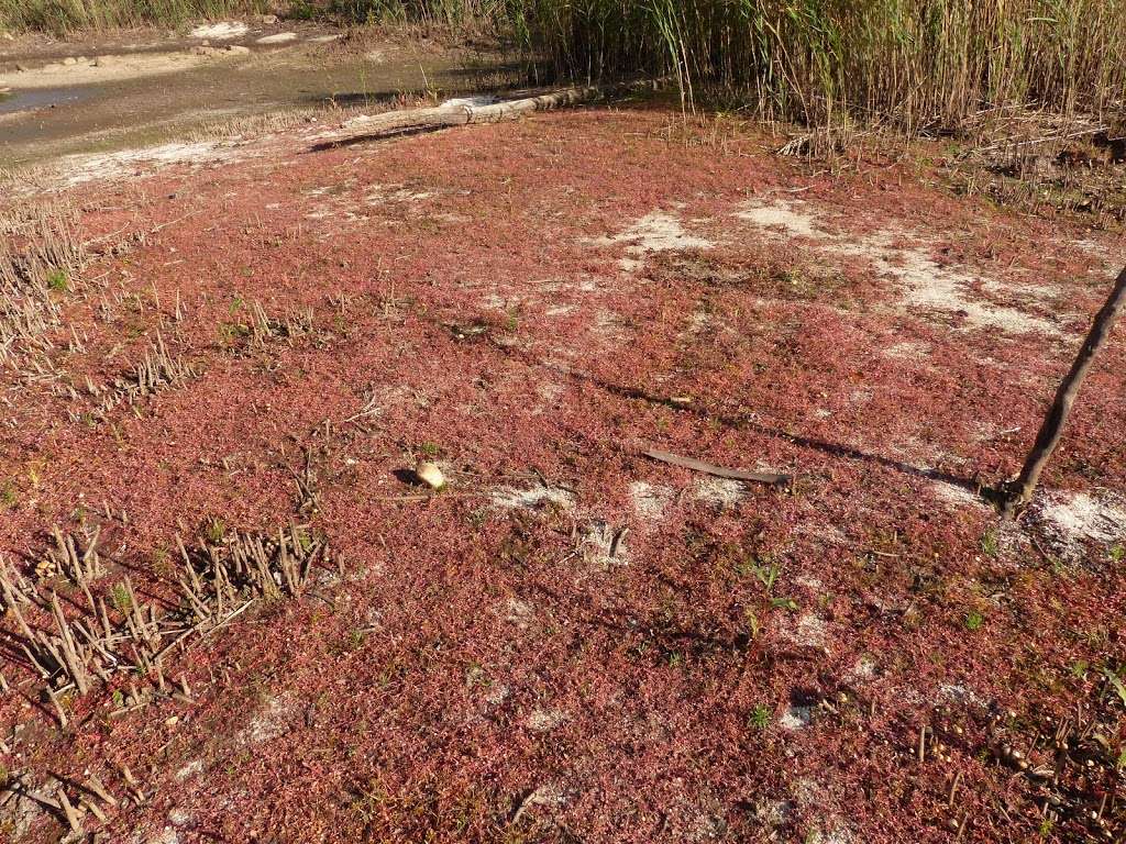 Hempstead Harbor Natural Area | Port Washington, NY 11050, USA