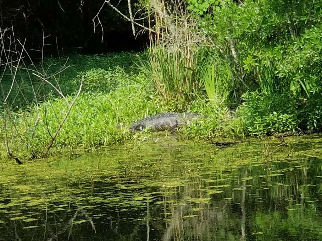 Armand Bayou Nature Center | 8500 Bay Area Blvd, Pasadena, TX 77507, USA | Phone: (281) 474-2551
