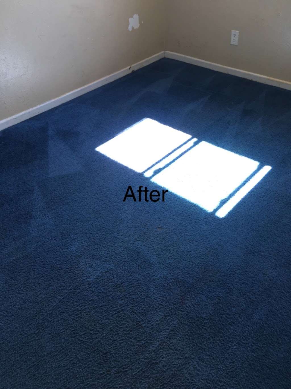 Jarvis Carpet Cleaning Service | 2315 Dorrington Dr, Dallas, TX 75228, USA | Phone: (214) 686-1025