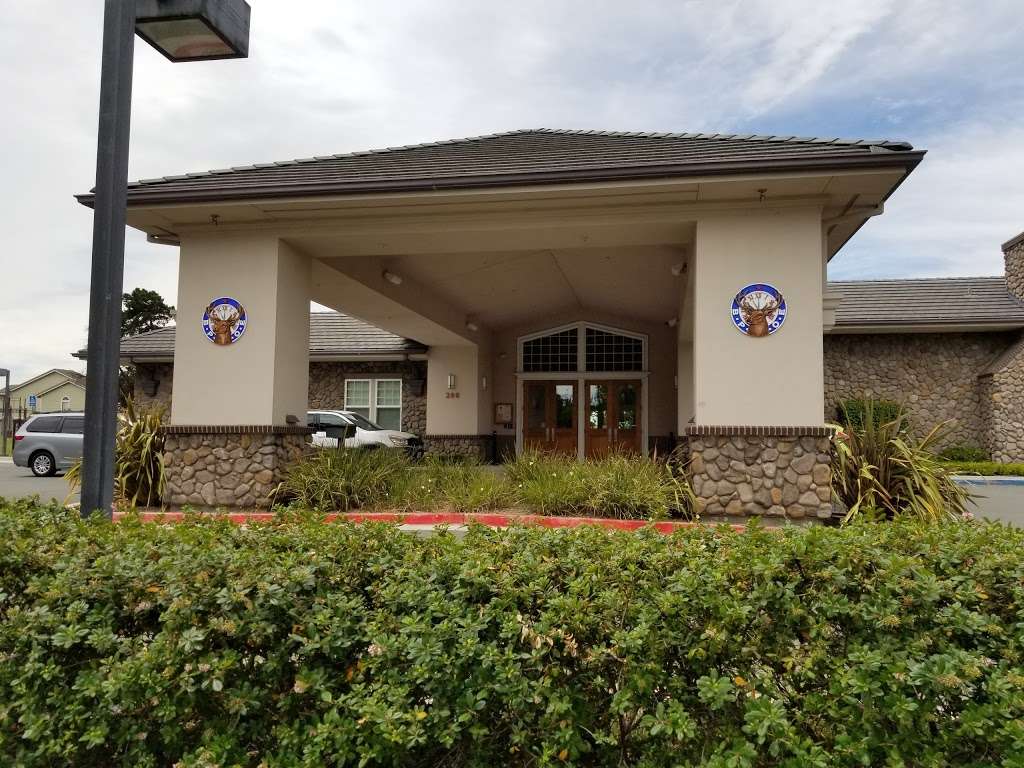 Elks Lodge | 200 Marina Blvd, Pittsburg, CA 94565, USA | Phone: (925) 432-6905