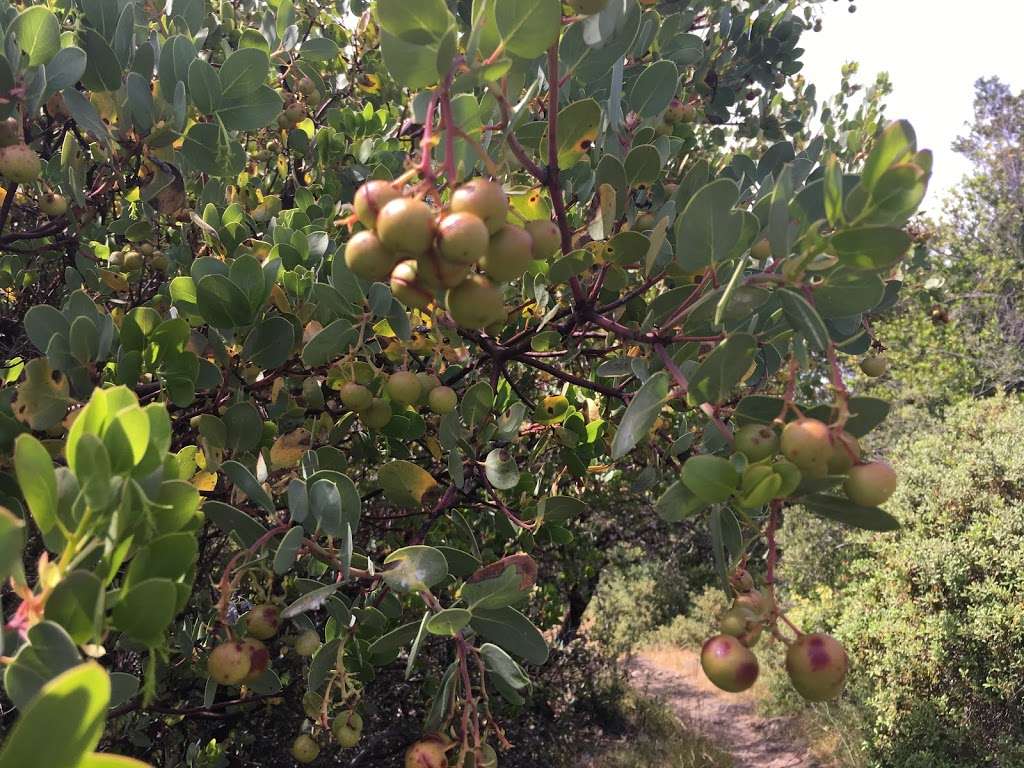 Almaden Quicksilver County Park | New Almaden Trail, San Jose, CA 95120, USA | Phone: (408) 535-4070 Almaden Quicksilver County Park | New Almaden Trail, San Jose, CA 95120, USA | Phone: (408) 535-4070