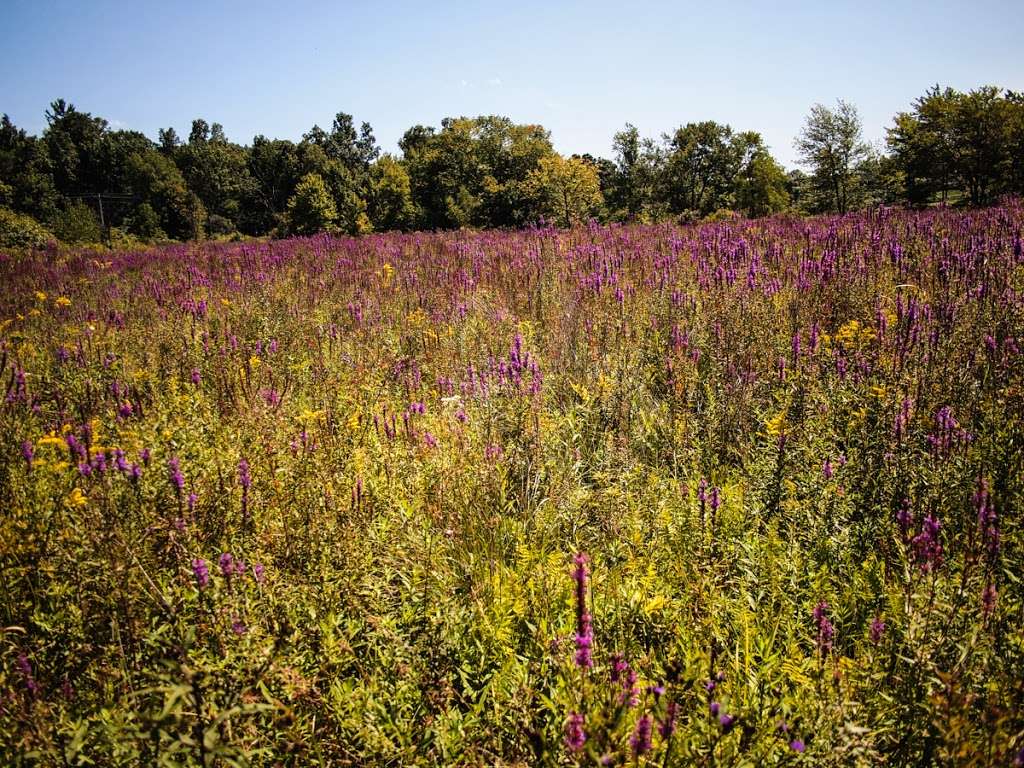 Appalachian Trail | State Line Rd, Westtown, NY 10998