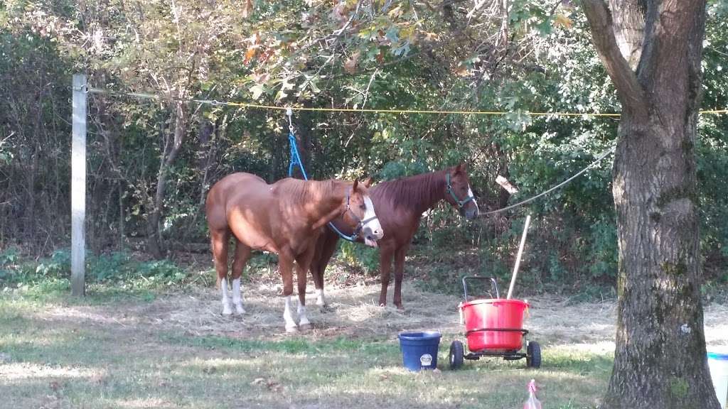 Horseriders Campground | 714 S 3rd St, Palmyra, WI 53156, USA | Phone: (262) 594-6200