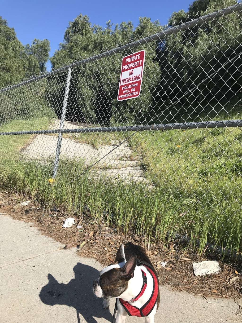 Wisdom Tree Trailhead | Unnamed Road, Los Angeles, CA 90068