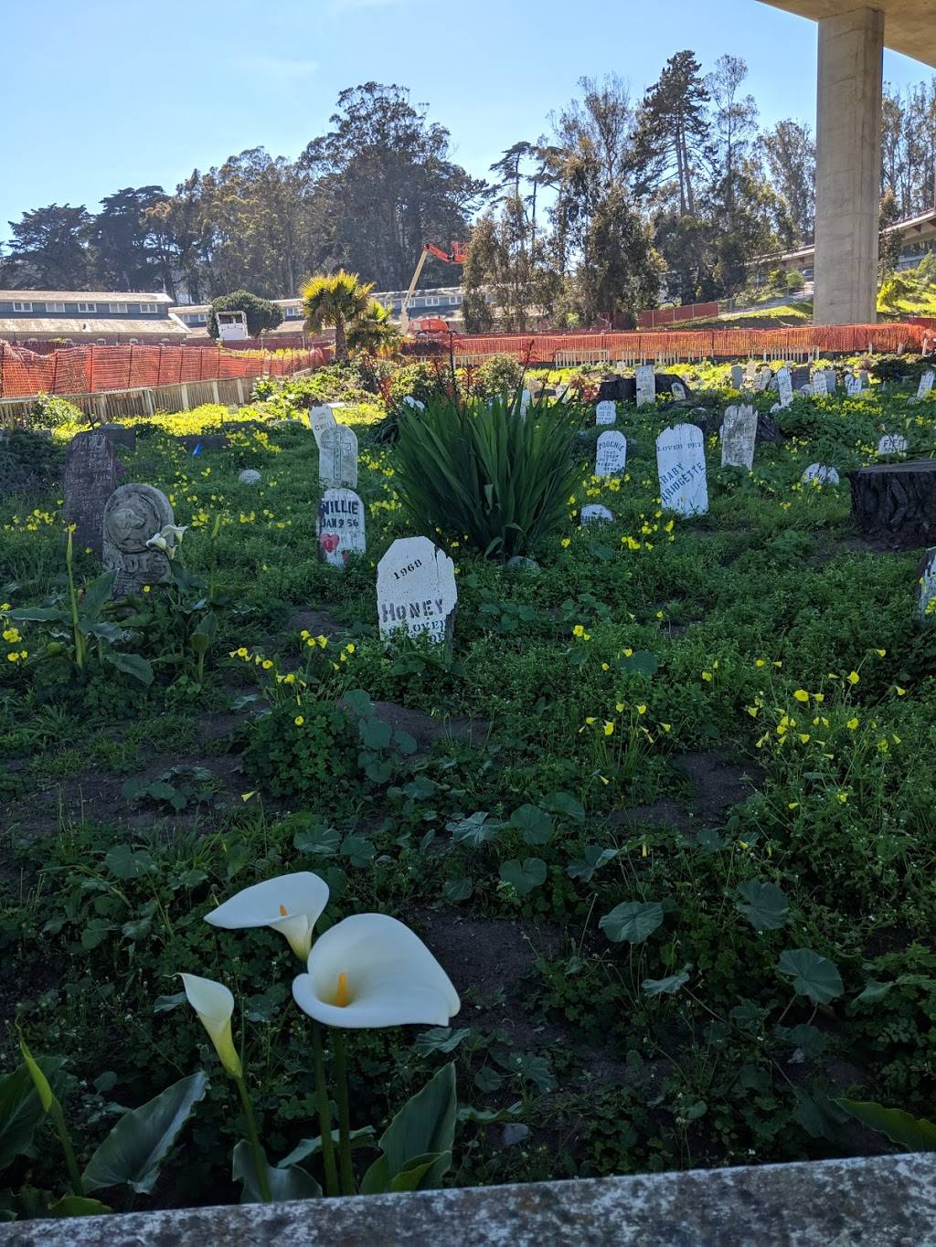 Presidio Pet Cemetery | 667 McDowell Ave, San Francisco, CA 94129, USA | Phone: (415) 561-4323