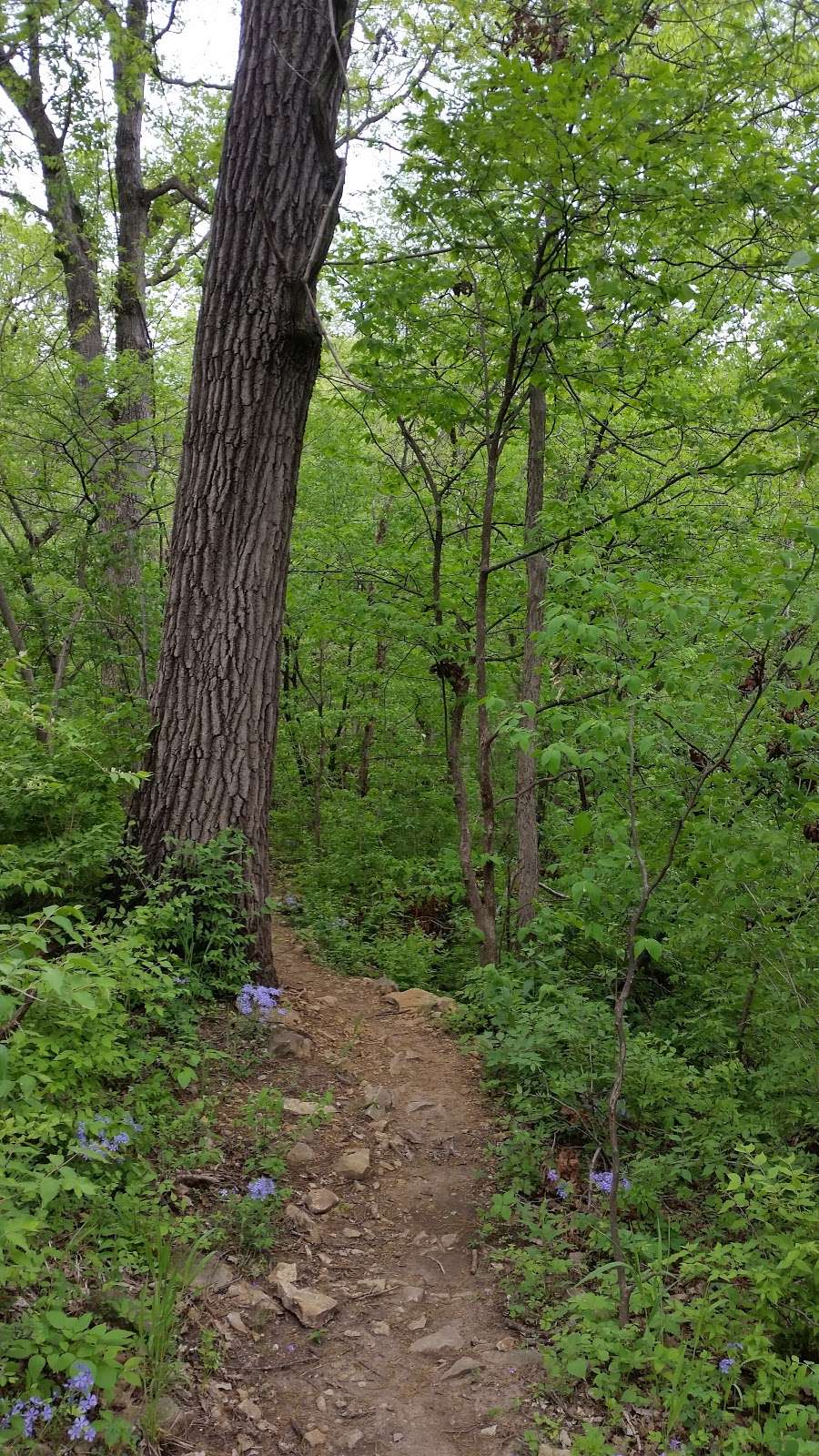 Wyandotte County Lake Shelter | Wyandotte County Lake Trails, Kansas City, KS 66109