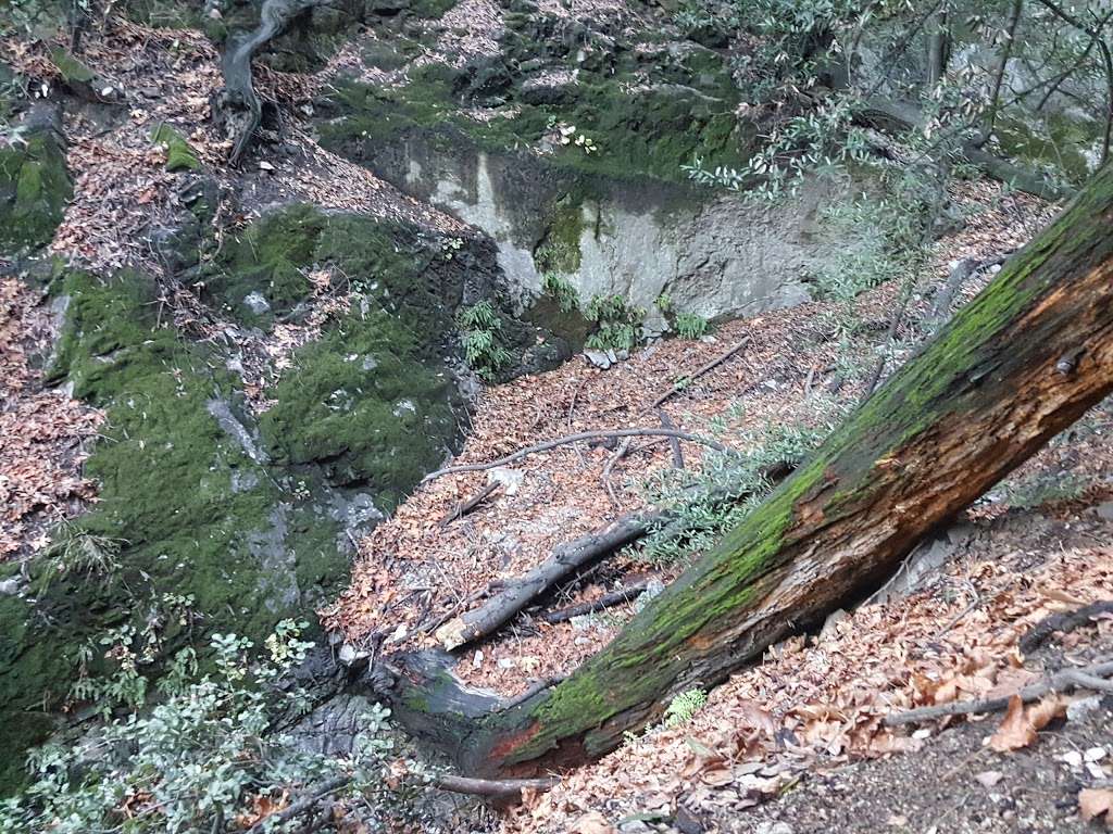 First Water, Mt. Wilson Trail | Mt Wilson Trail, Sierra Madre, CA 91024, USA