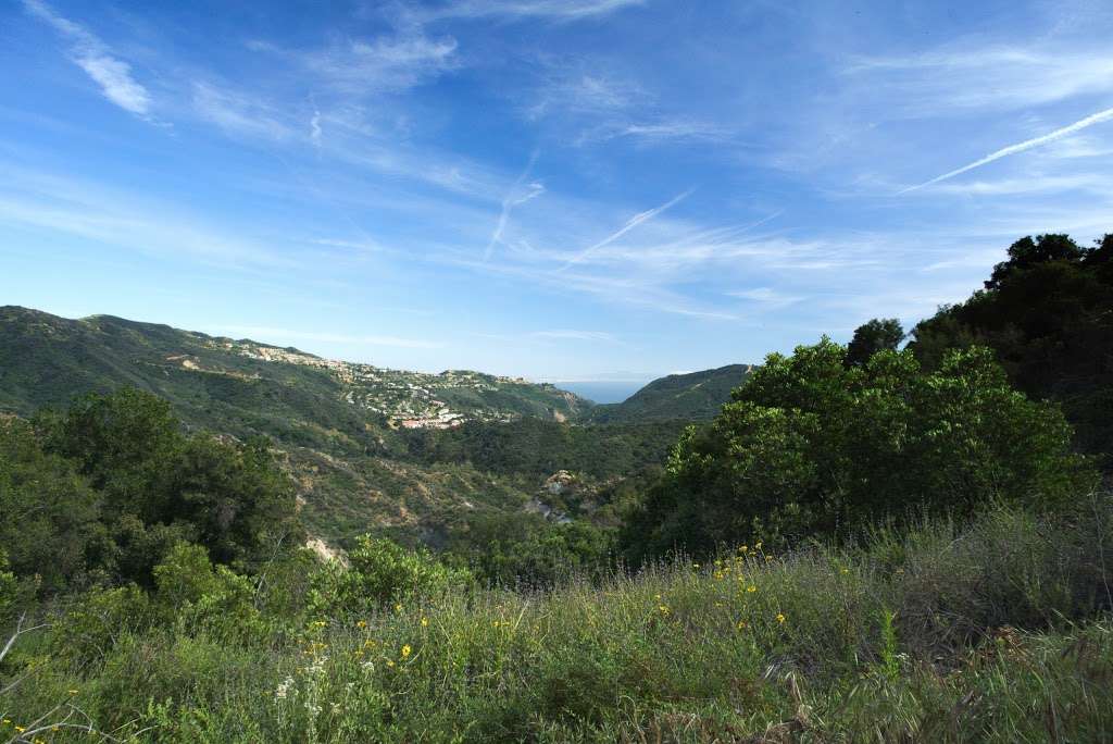 Santa Ynez Falls | Santa Ynez Waterfall Trail, Pacific Palisades, CA 90272, USA