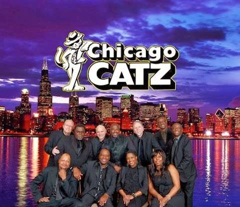 Chicago Catz | 3712 N Kedvale Ave, Chicago, IL 60641, USA | Phone: (773) 202-1664